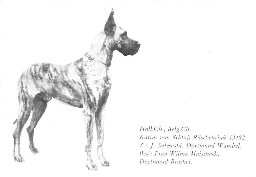 Karim von Schloss Ruschebrink